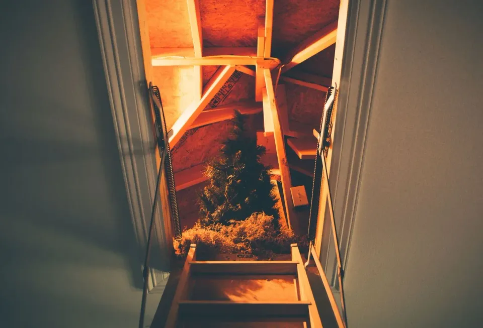 Attic Hatch — Attic Space
